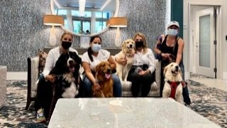  Oct 1, 2022 | Ale Ramos Therapy Animals