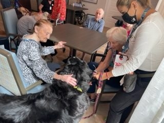  Oct 1, 2022 | Ale Ramos Therapy Animals