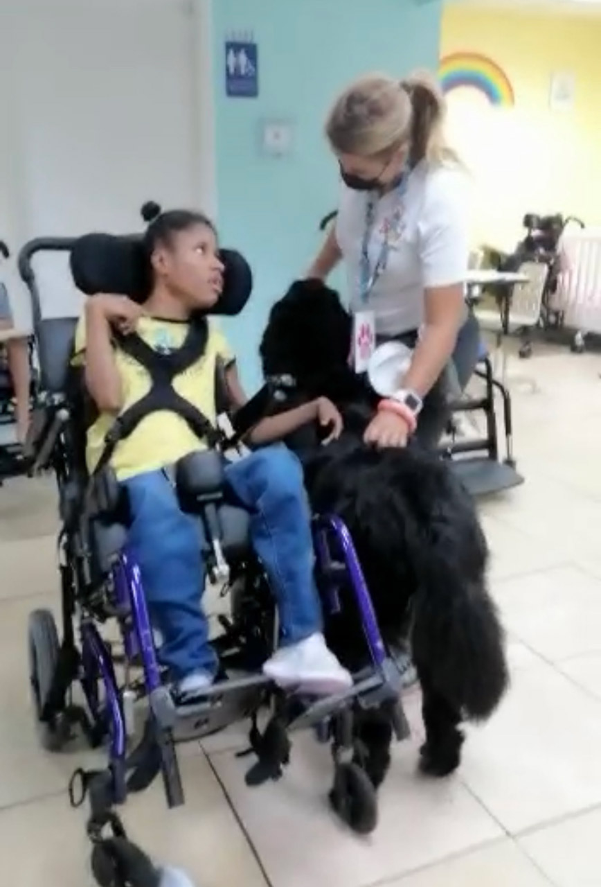  July 22, 2022 | Ale Ramos Therapy Animals