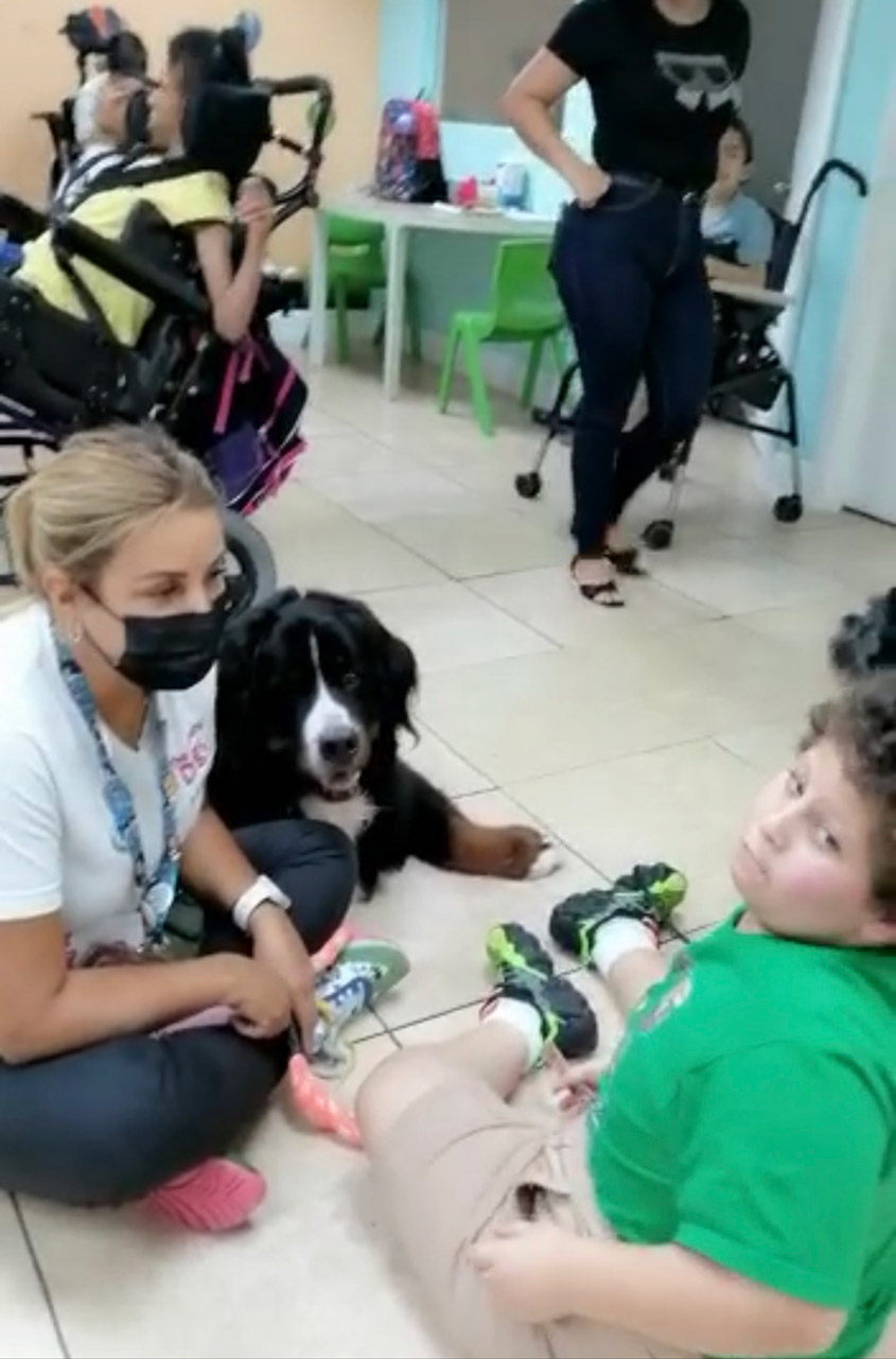  July 22, 2022 | Ale Ramos Therapy Animals