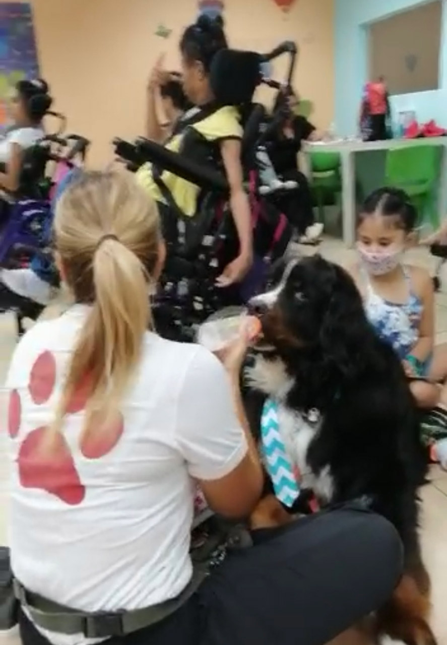  July 22, 2022 | Ale Ramos Therapy Animals