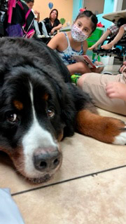  July 22, 2022 | Ale Ramos Therapy Animals