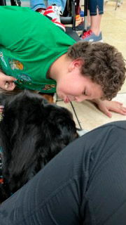  July 22, 2022 | Ale Ramos Therapy Animals