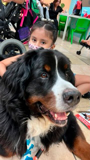  July 22, 2022 | Ale Ramos Therapy Animals