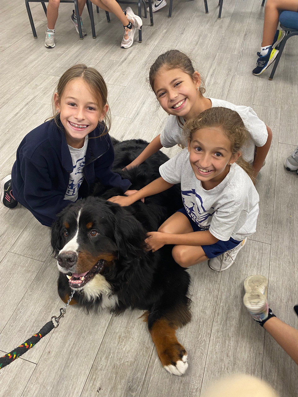  May 31, 2022 | Ale Ramos Therapy Animals