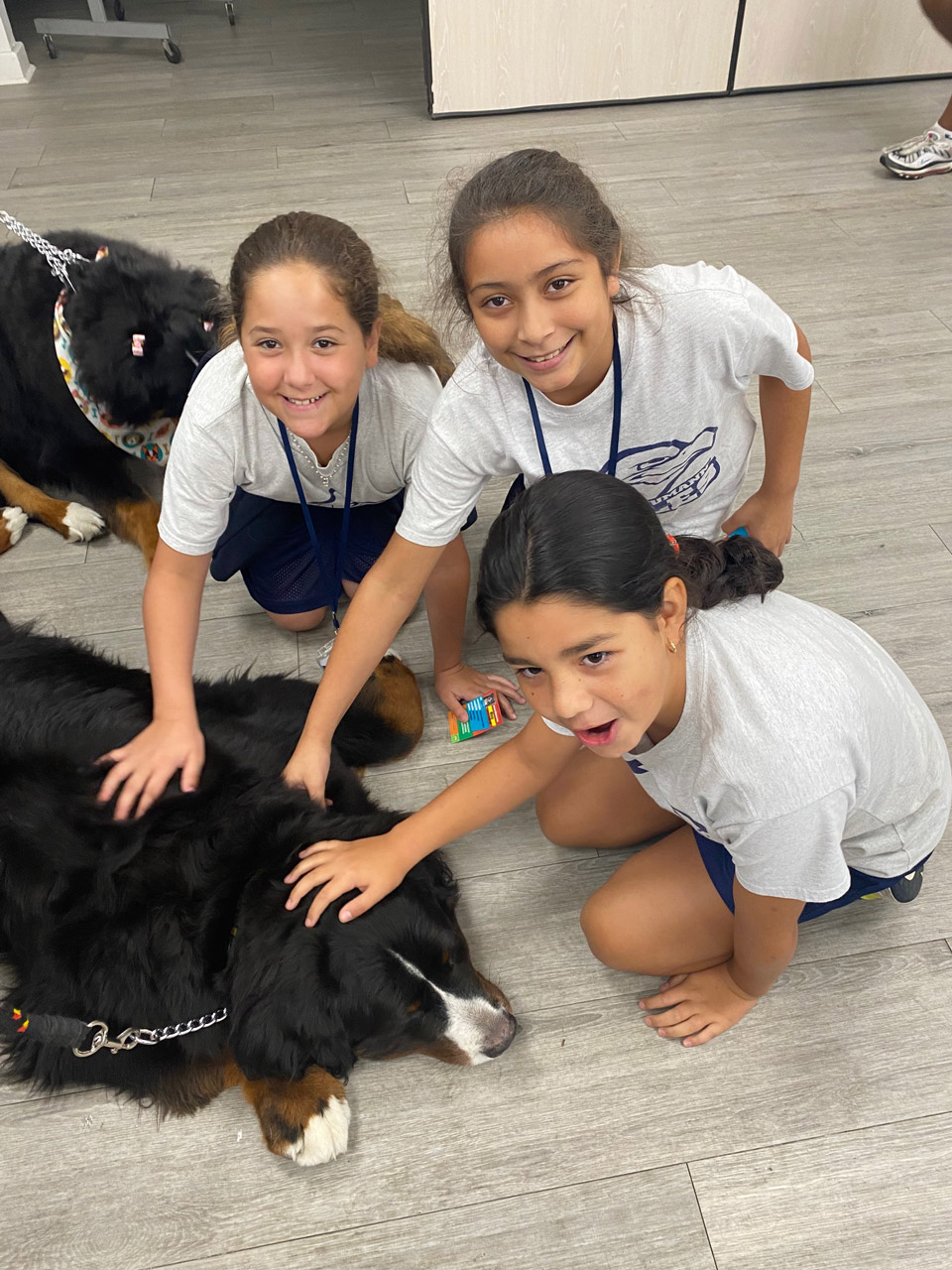  May 31, 2022 | Ale Ramos Therapy Animals