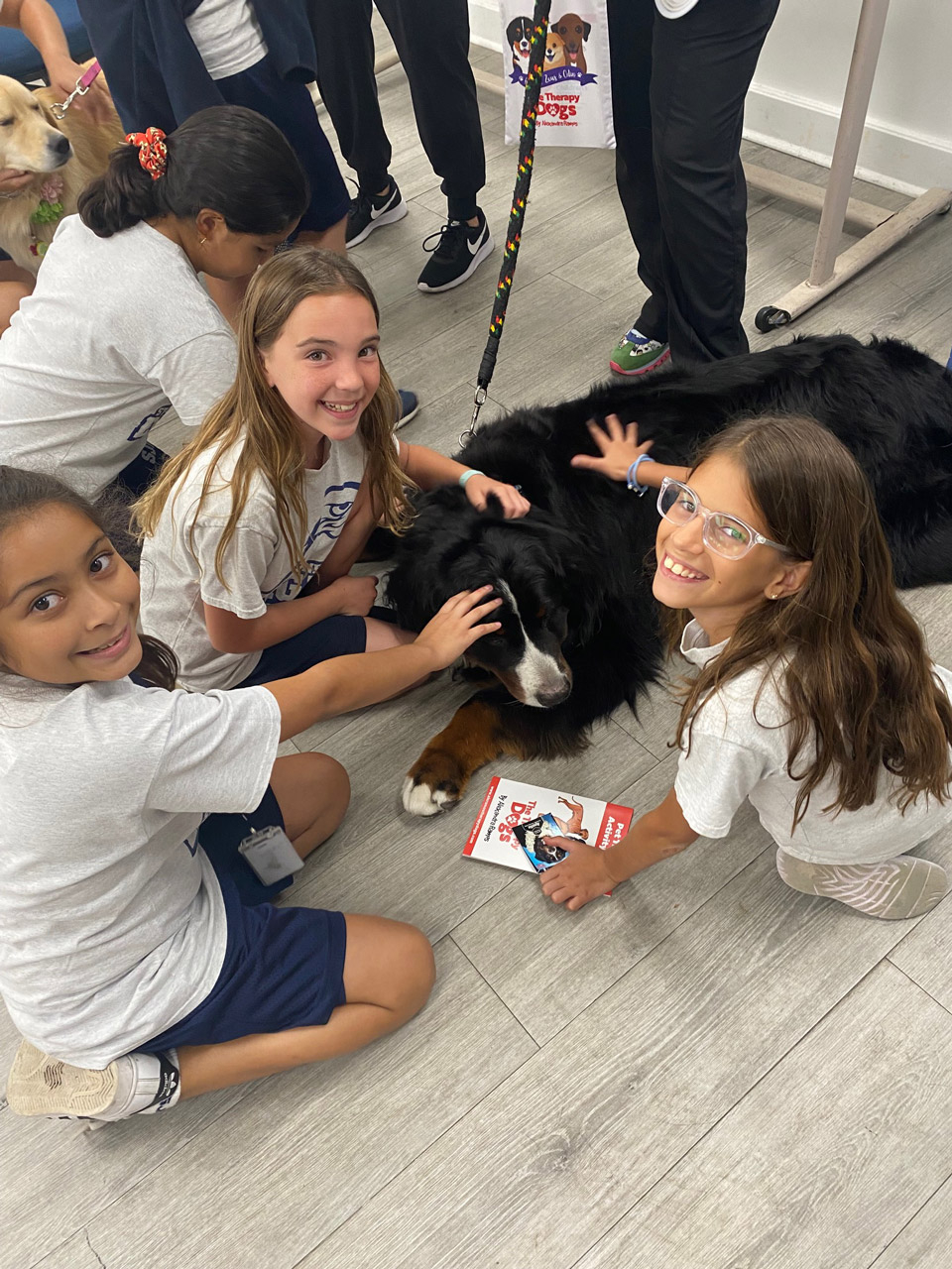  May 31, 2022 | Ale Ramos Therapy Animals