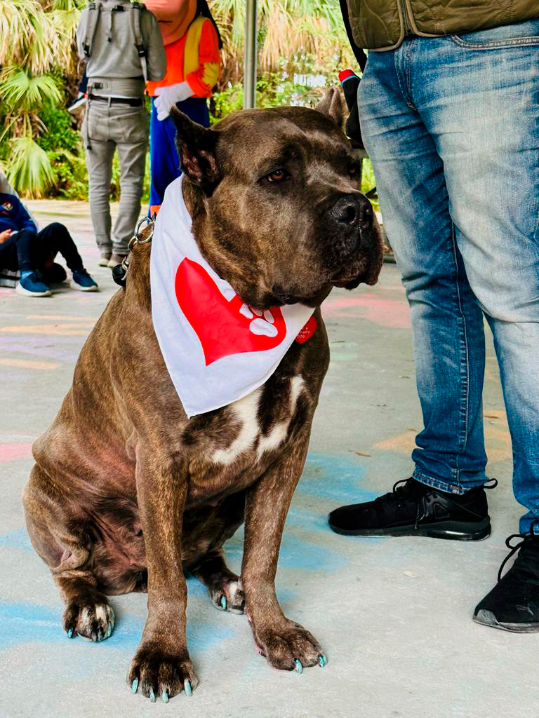  March 20, 2023 | Ale Ramos Therapy Animals