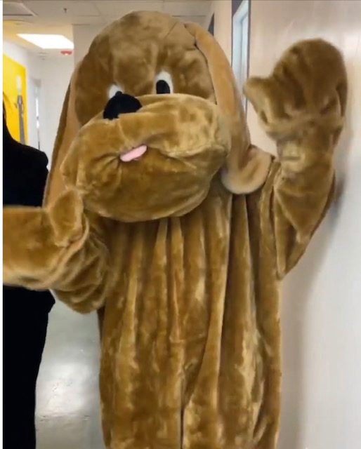 Apollo visits Loyola School | Ale Ramos Therapy Animals