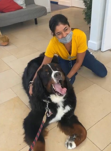 Apollo visits Loyola School | Ale Ramos Therapy Animals