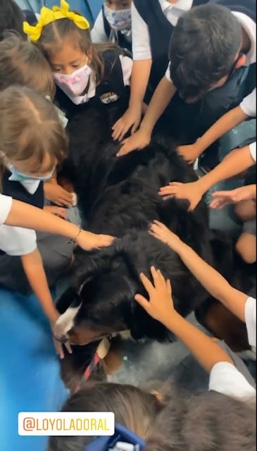 Apollo visits Loyola School | Ale Ramos Therapy Animals