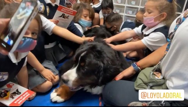 Apollo visits Loyola School | Ale Ramos Therapy Animals