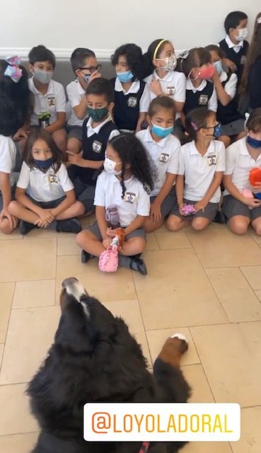 Apollo visits Loyola School | Ale Ramos Therapy Animals