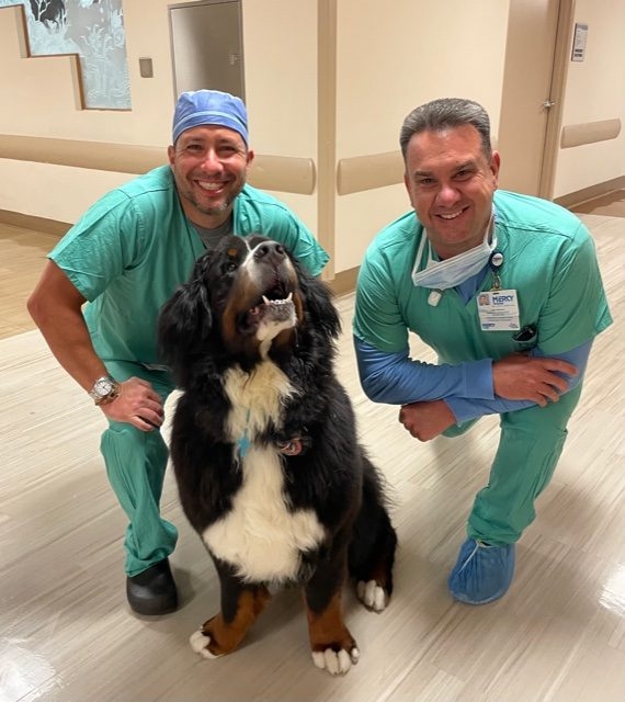Apollo visits Mercy Hospital | Ale Ramos Therapy Animals