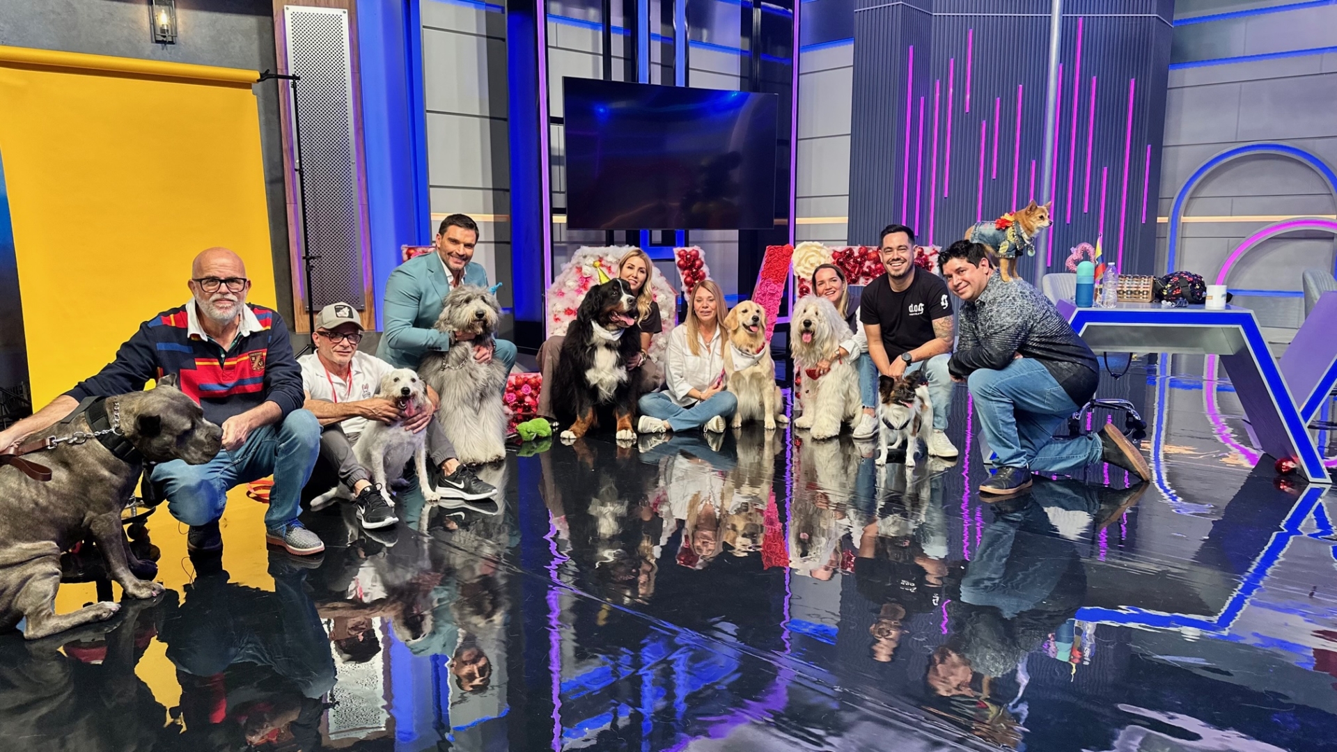 Batman Celebration Birthday | Alexandra Ramos Therapy Animals