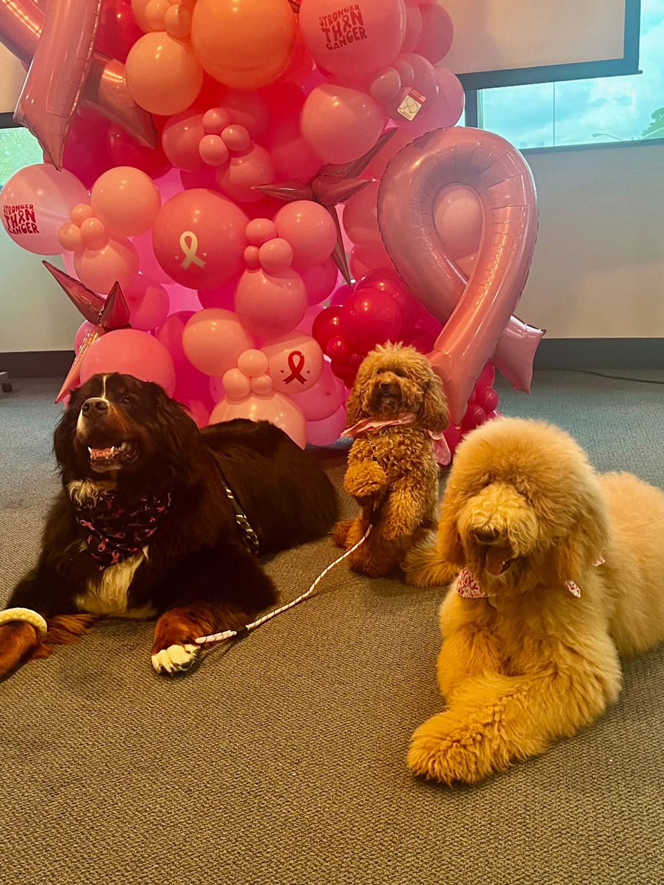  Oct 10, 2023 | Ale Ramos Therapy Animals
