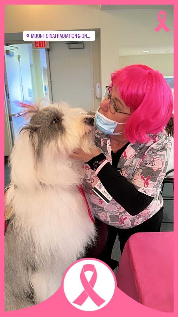 Oct 20, 2022 | Ale Ramos Therapy Animals