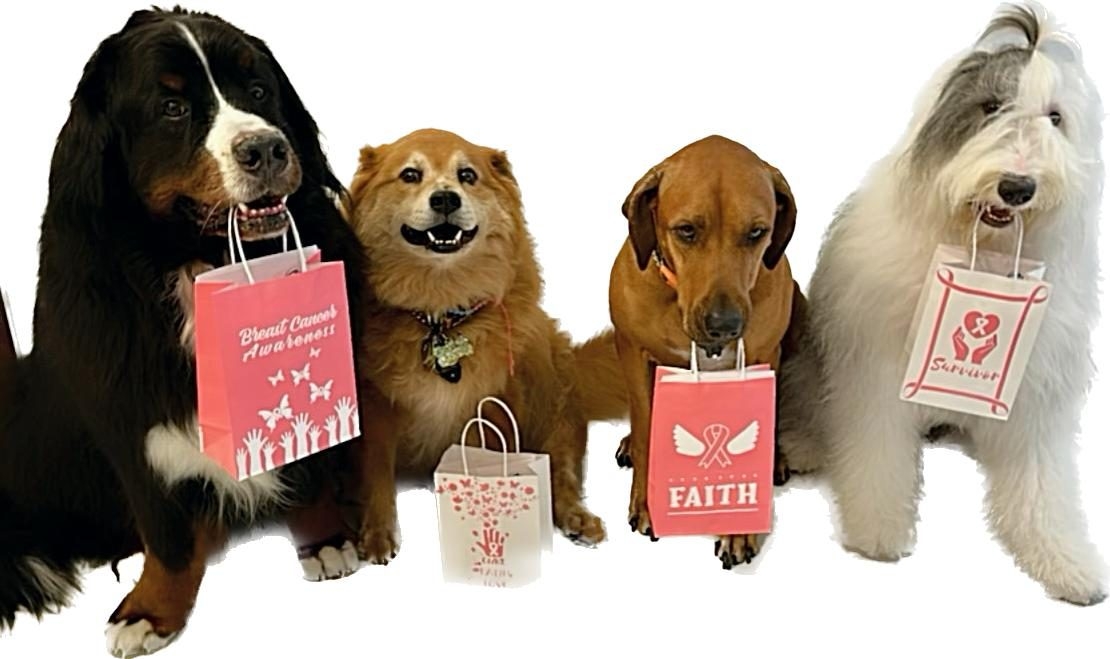  Oct 20, 2022 | Ale Ramos Therapy Animals