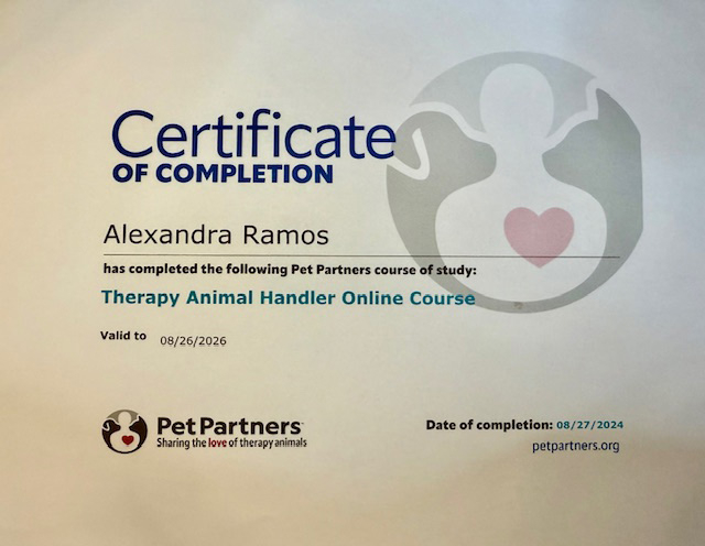 The Therapy Horse Certifications | Ale Ramos Therapy Animals