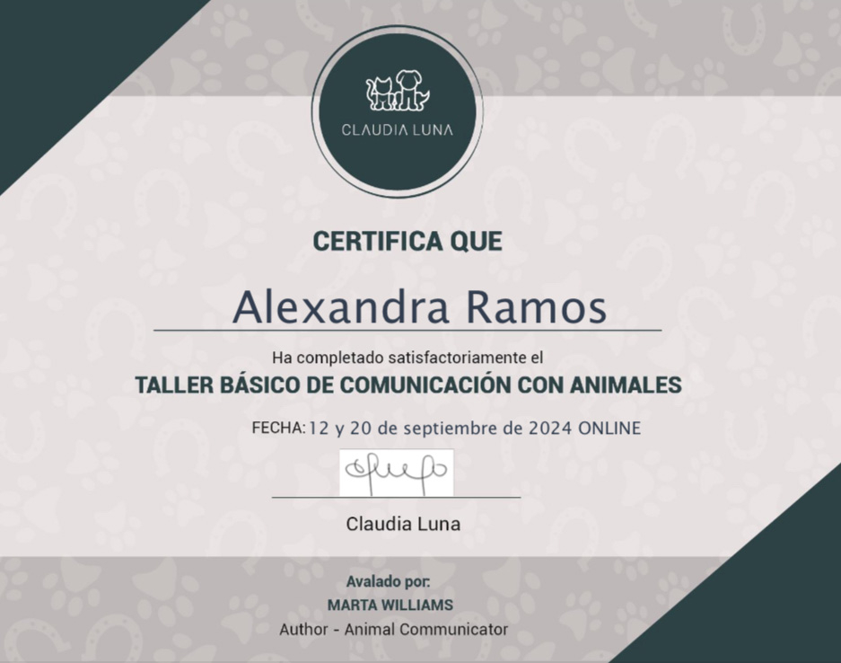 The Therapy Horse Certifications | Ale Ramos Therapy Animals