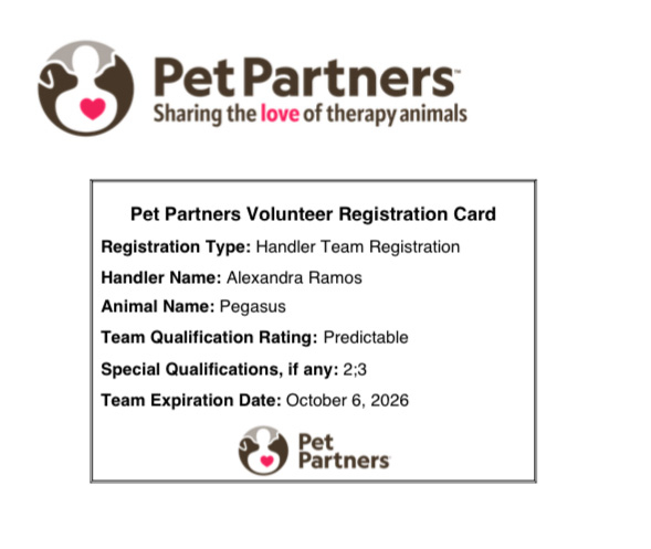 The Therapy Horse Certifications | Ale Ramos Therapy Animals