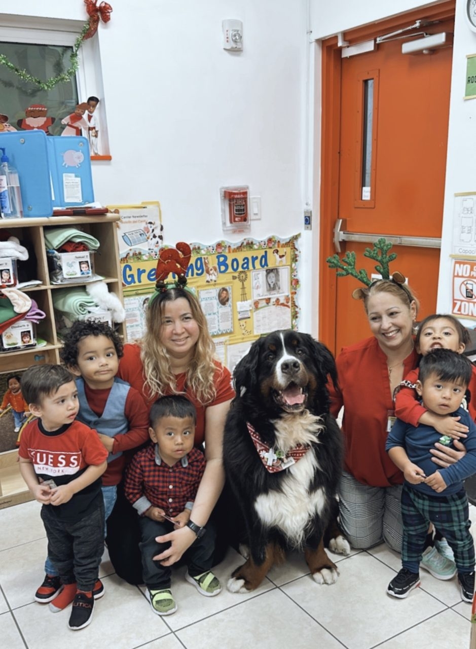 Christmas Donation at Le Jardin by Meraki Wellness | Ale Ramos Therapy Animals