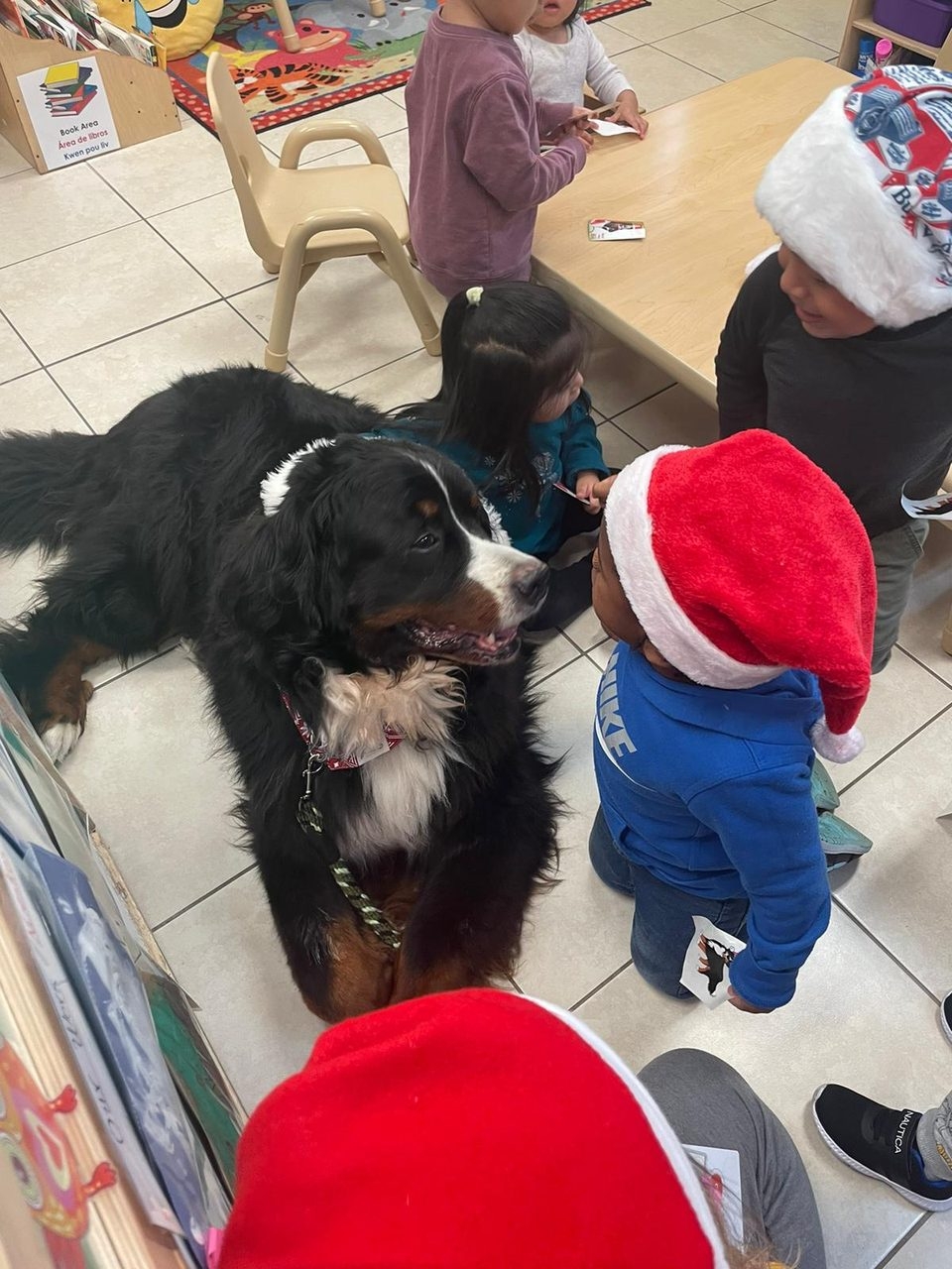 Christmas Donation at Le Jardin by Meraki Wellness | Ale Ramos Therapy Animals