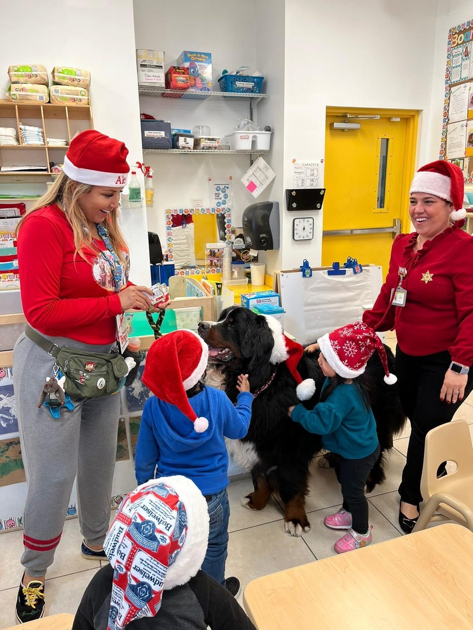 Christmas Donation at Le Jardin by Meraki Wellness | Ale Ramos Therapy Animals