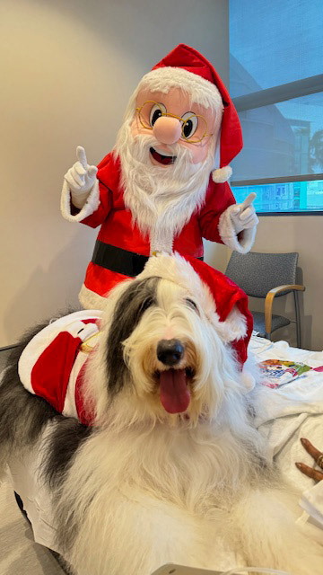  Dec 20, 2023 | Ale Ramos Therapy Animals