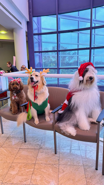  Dec 20, 2023 | Ale Ramos Therapy Animals