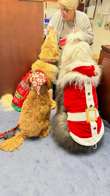  Dec 20, 2023 | Ale Ramos Therapy Animals