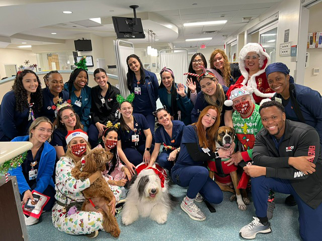  Dec 21, 2023 | Ale Ramos Therapy Animals