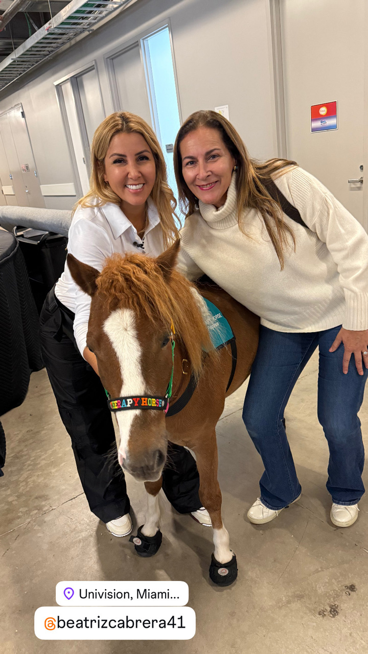 Despierta América moments with Pegasus - February 21, 2025 | Ale Ramos Therapy Animals