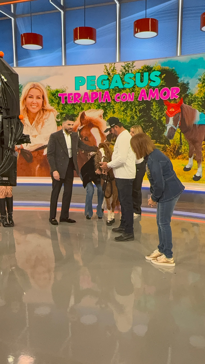 Despierta América moments with Pegasus - February 21, 2025 | Ale Ramos Therapy Animals