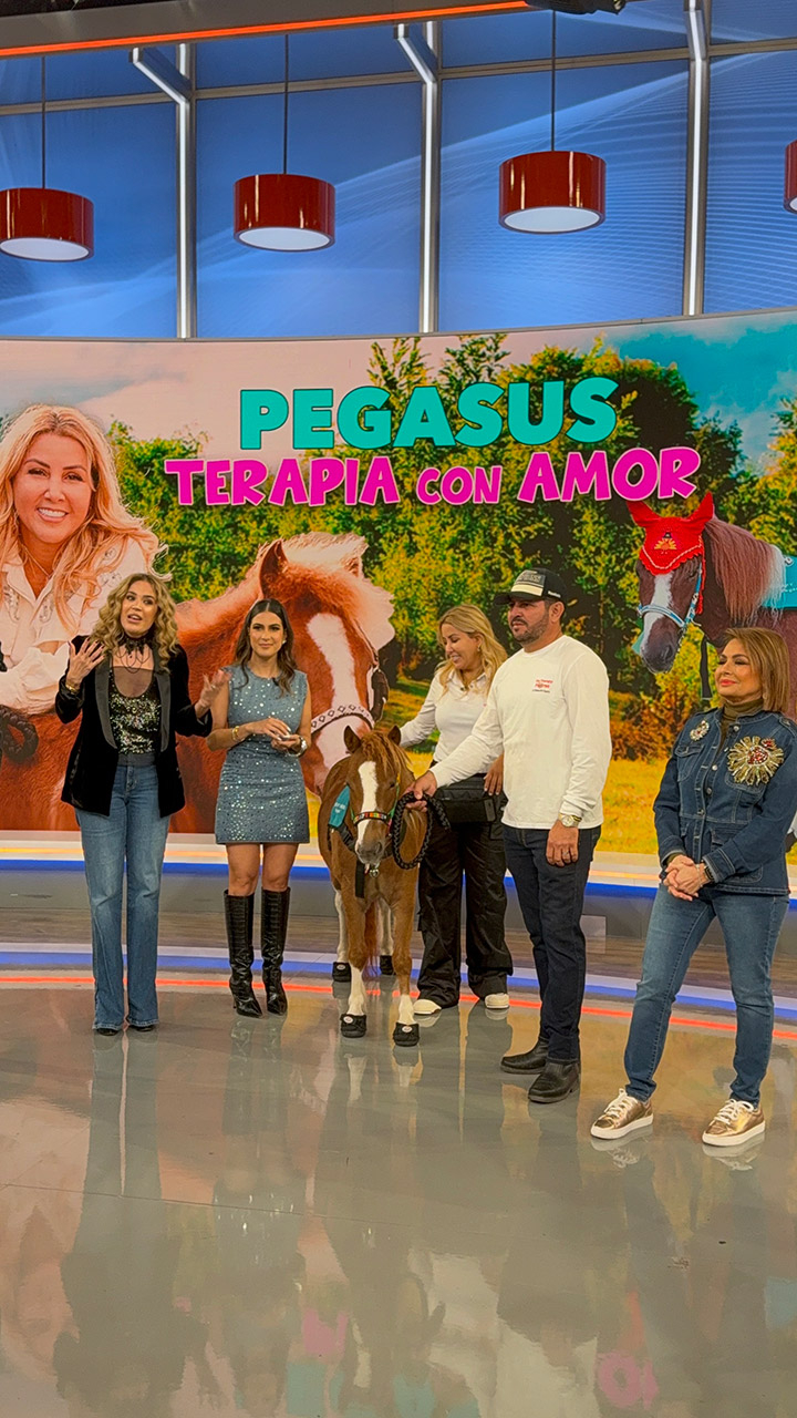 Despierta América moments with Pegasus - February 21, 2025 | Ale Ramos Therapy Animals