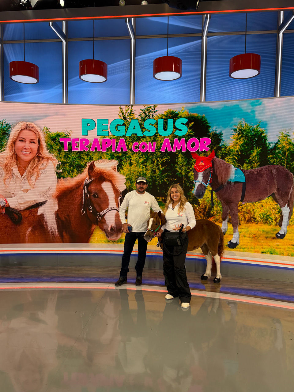 Despierta América moments with Pegasus - February 21, 2025 | Ale Ramos Therapy Animals