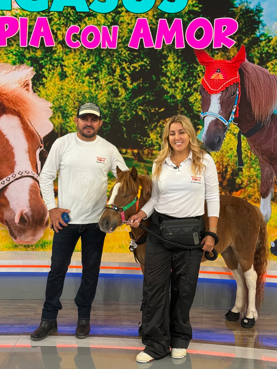 Despierta América moments with Pegasus - February 21, 2025 | Ale Ramos Therapy Animals