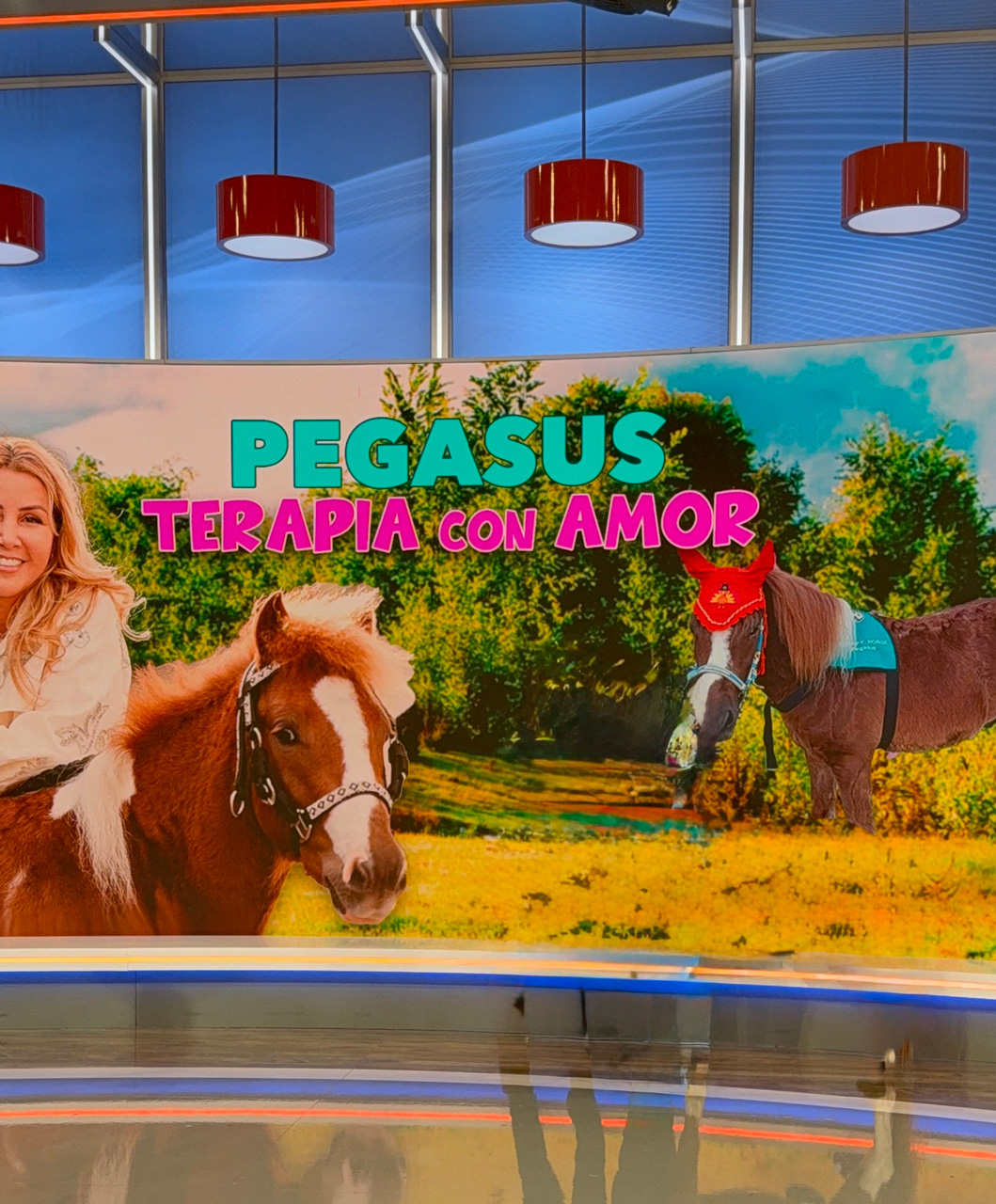 Despierta América moments with Pegasus - February 21, 2025 | Ale Ramos Therapy Animals