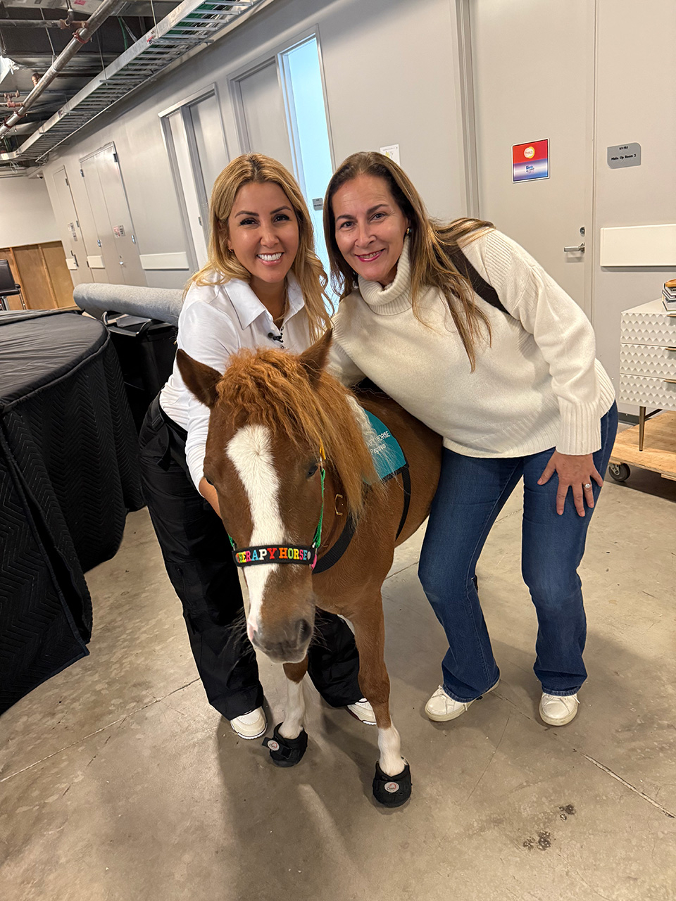 Despierta América moments with Pegasus - February 21, 2025 | Ale Ramos Therapy Animals