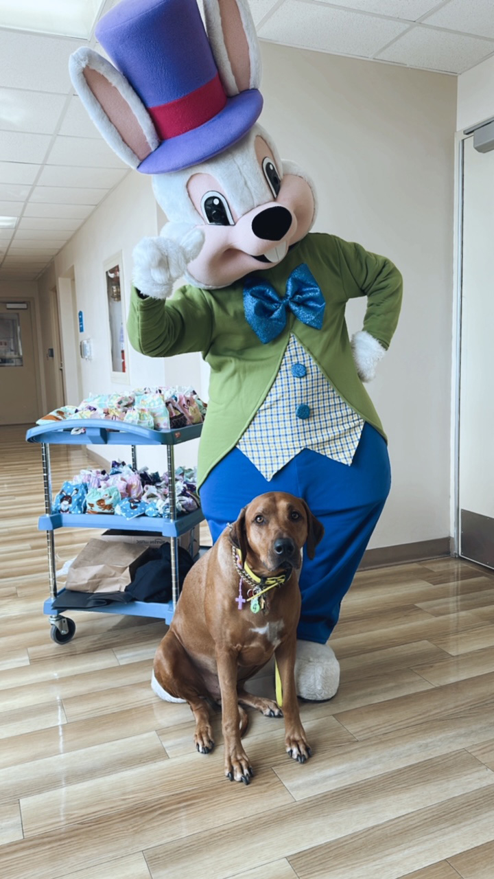  March 31, 2023 | Ale Ramos Therapy Animals