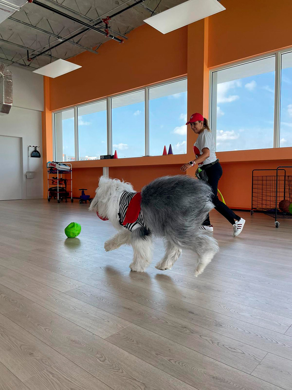  March 13, 2023 | Ale Ramos Therapy Animals