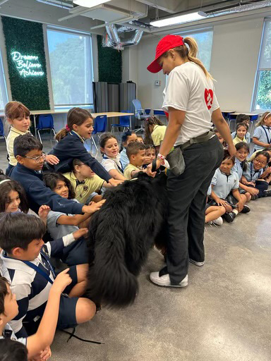  March 7, 2023 | Ale Ramos Therapy Animals