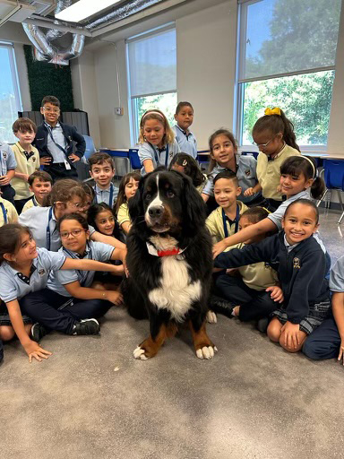  March 7, 2023 | Ale Ramos Therapy Animals