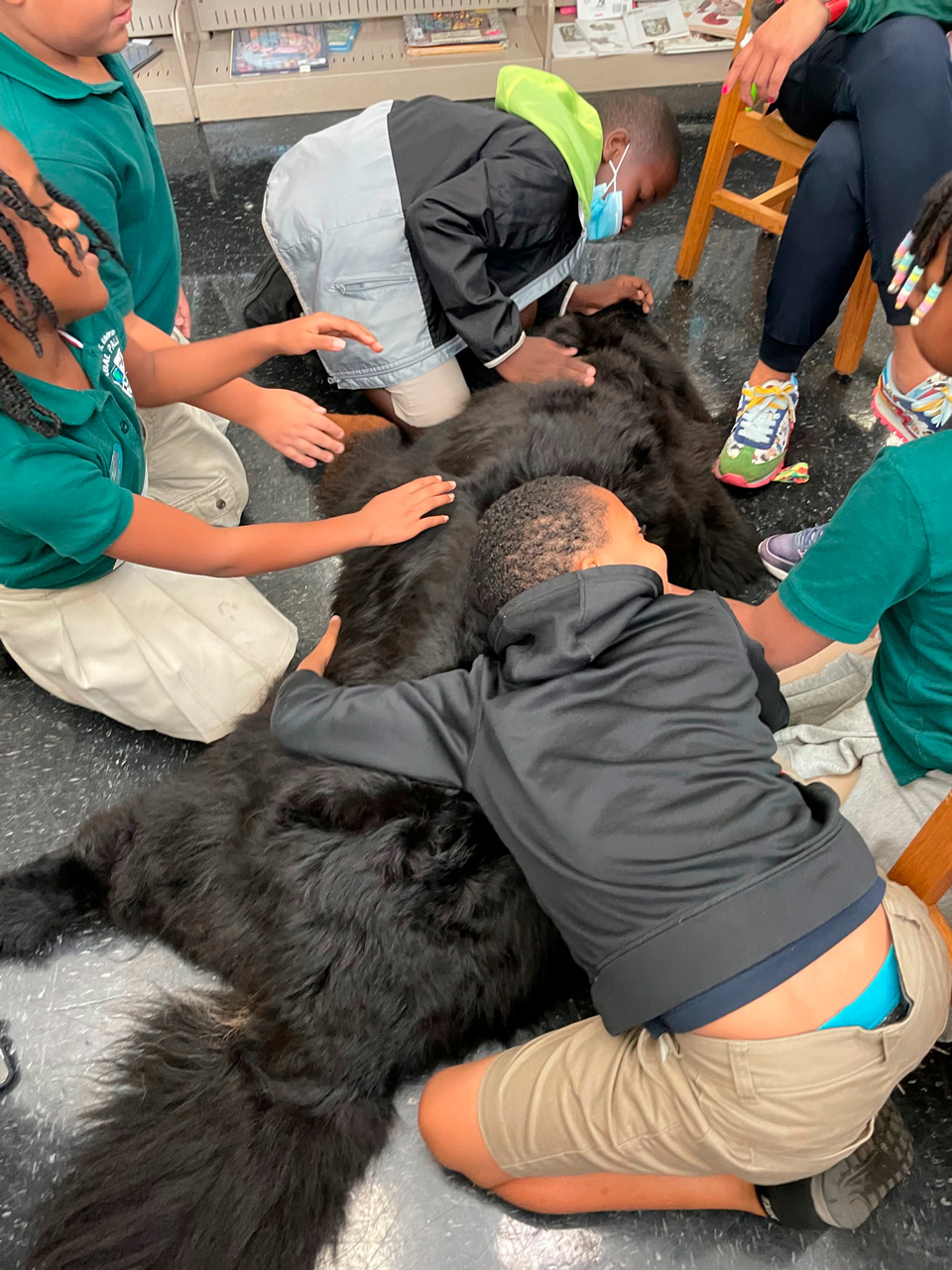  May 30, 2023 | Ale Ramos Therapy Animals