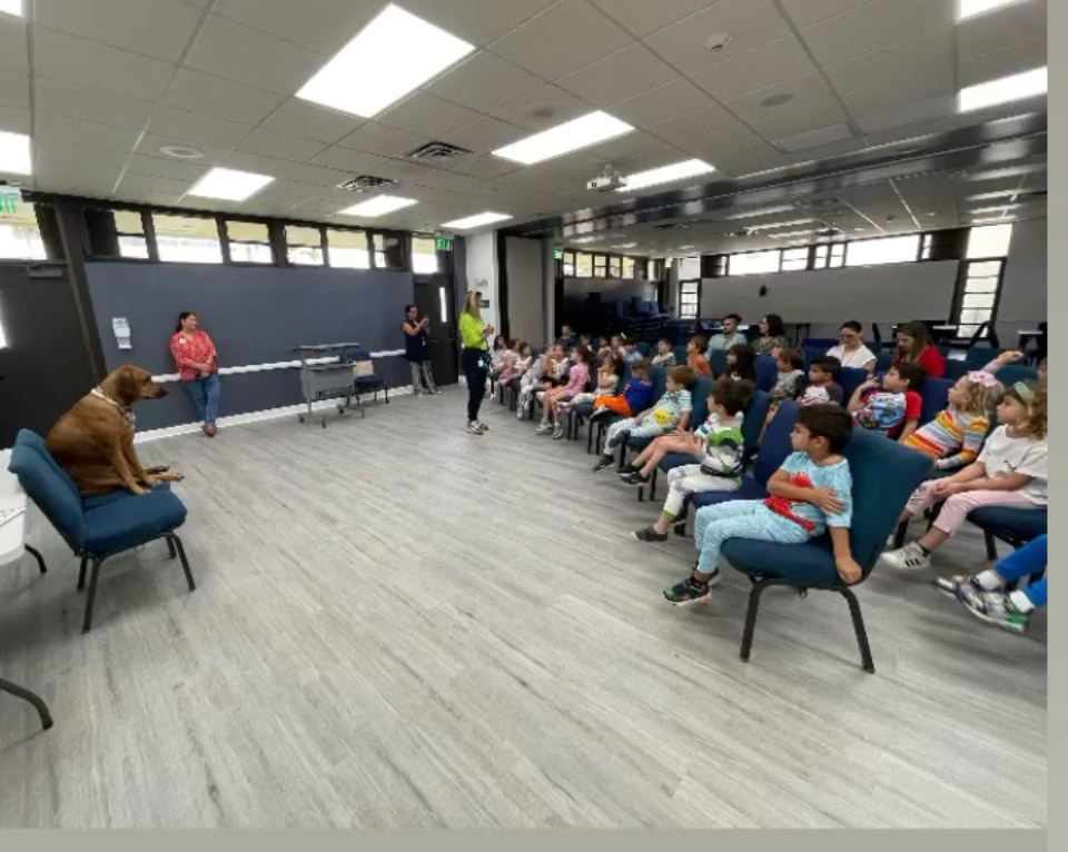  June 8, 2023 | Ale Ramos Therapy Animals