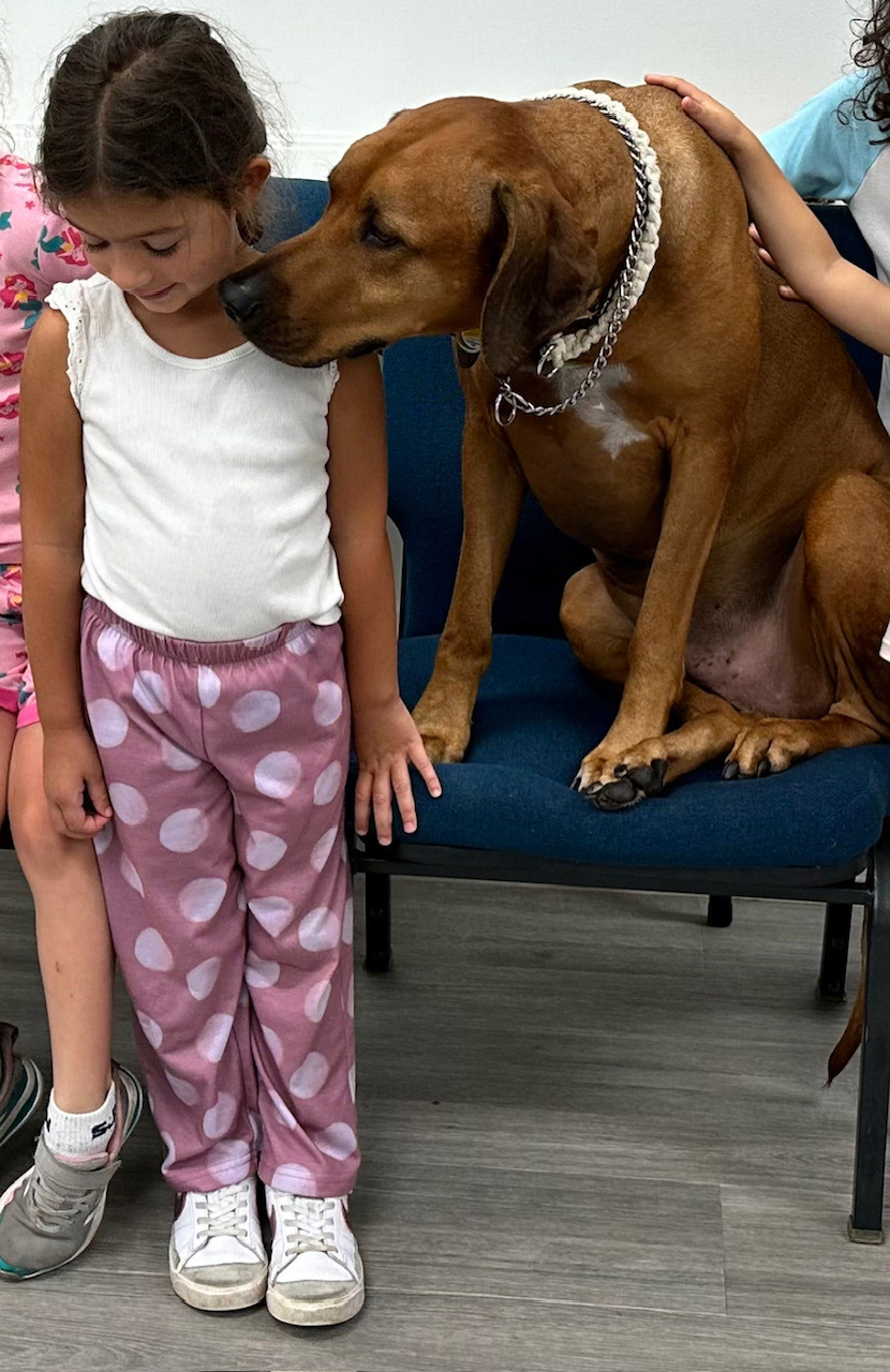  June 8, 2023 | Ale Ramos Therapy Animals