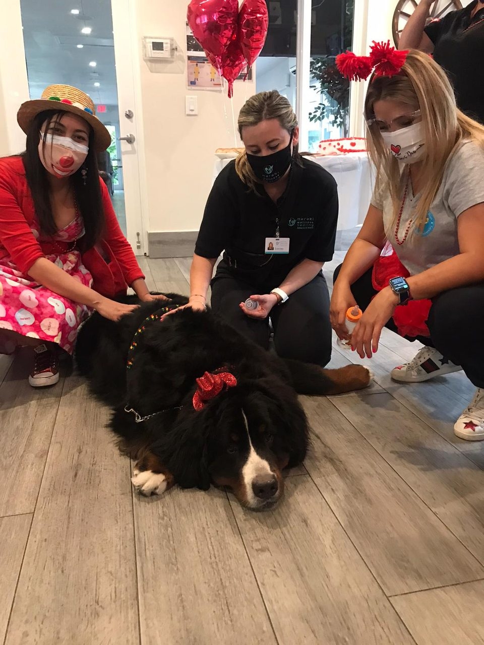 Elder Care 2 y 3 Station “Salmo 23” | Ale Ramos Therapy Animals