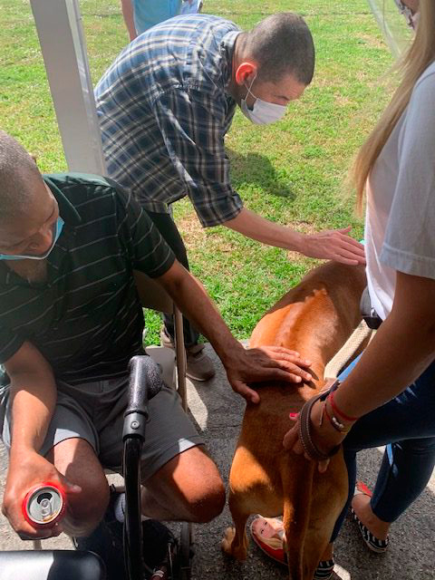 Elder Care 2 y 3 Station “Salmo 23” | Ale Ramos Therapy Animals