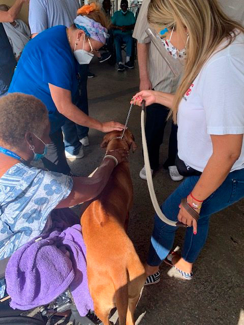 Elder Care 2 y 3 Station “Salmo 23” | Ale Ramos Therapy Animals