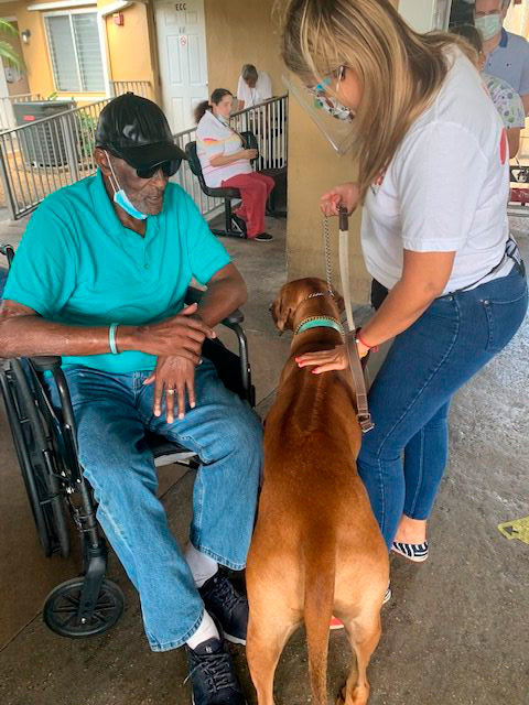 Elder Care 2 y 3 Station “Salmo 23” | Ale Ramos Therapy Animals
